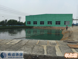 污水磷超標現(xiàn)場&ldquo;氧塘&rdquo;