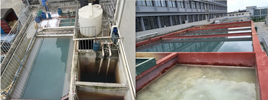 快速降低氨氮藥劑的使用現場