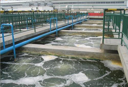 皮革污水氨氮處理現(xiàn)場