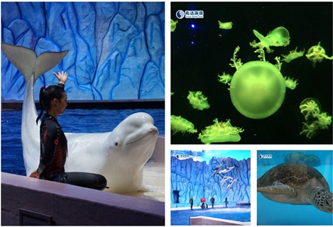 希潔環(huán)保活動(dòng)圖片1